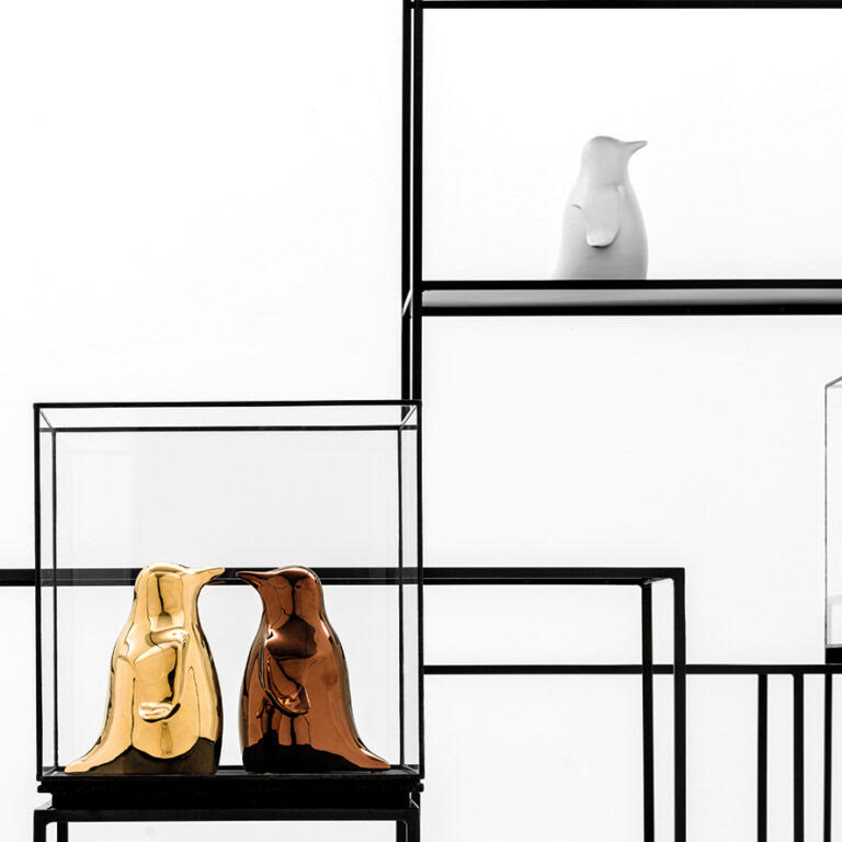 Pingo Collection