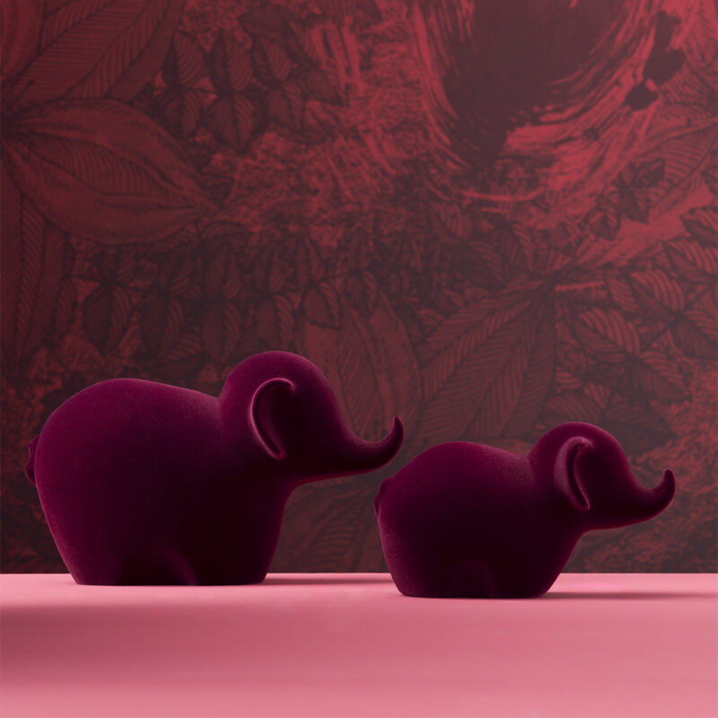 Velvet collection